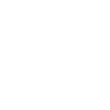 Frittmann Consulting - Dr. Stefan Frittmann - Icon Audits